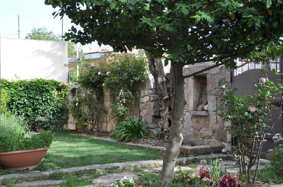 B&B Casa Ghiani Isili Dış mekan fotoğraf